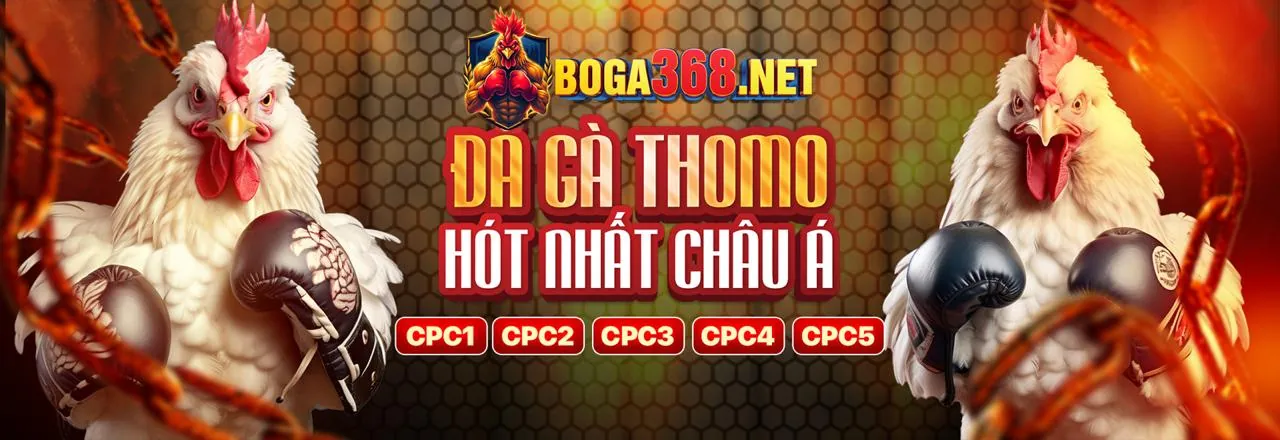 Hình ảnh đại diện Điều Khoản Dịch Vụ banca29 tải game