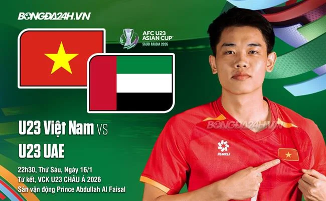 Hình ảnh gà chọi được phân tích